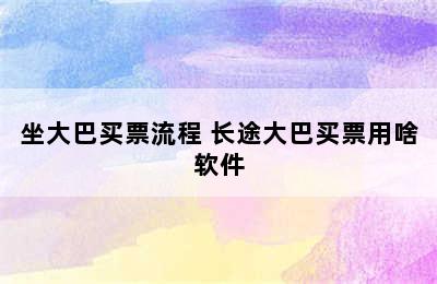 坐大巴买票流程 长途大巴买票用啥软件